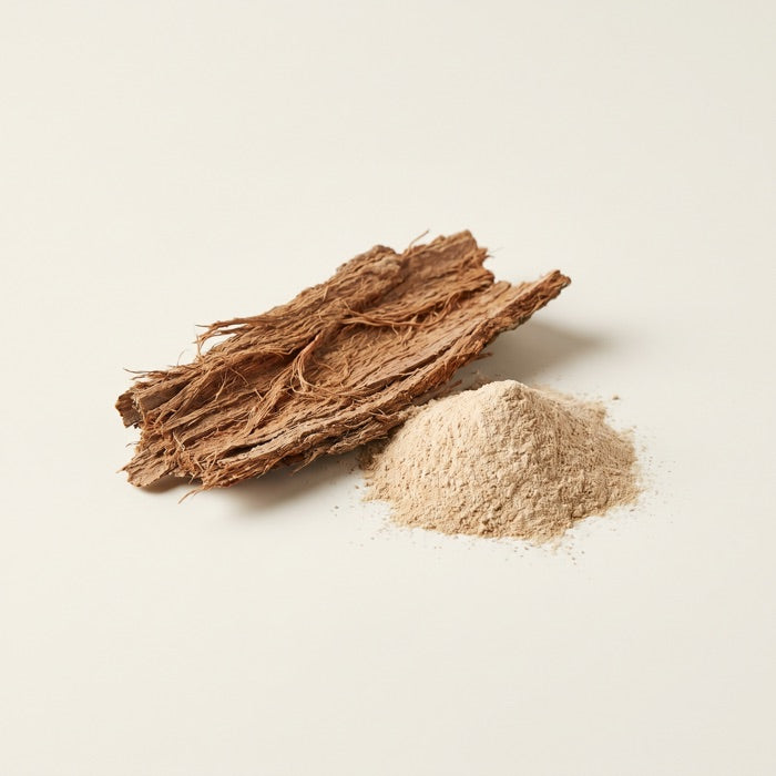 Slippery Elm