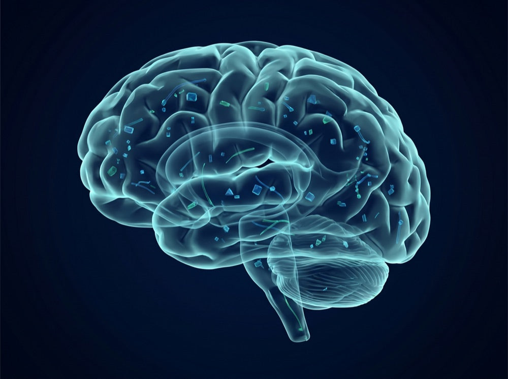Brain tissue