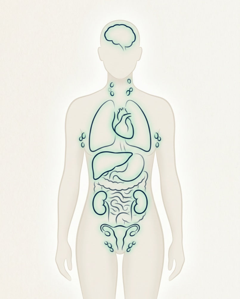Human body diagram with nine organ systems highlighted
