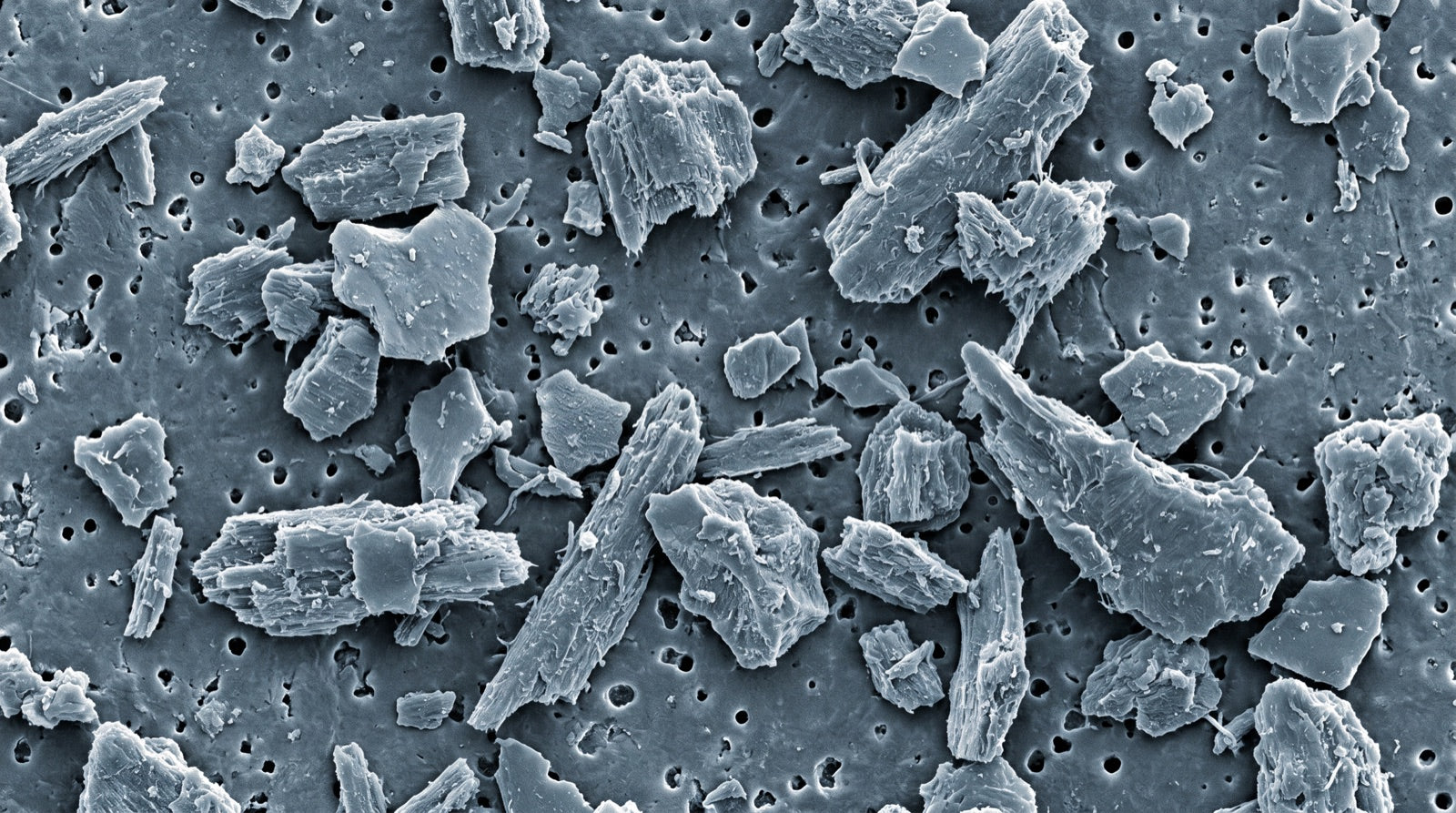 Microscope image of microplastic particles